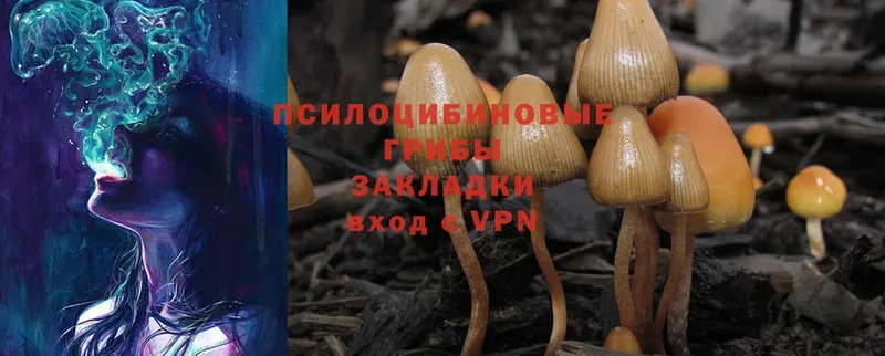 Галлюциногенные грибы Magic Shrooms  Северобайкальск 